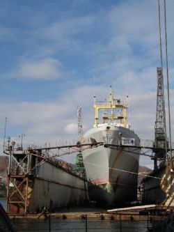 Клик увеличить фото n1243920121112295513n.jpg