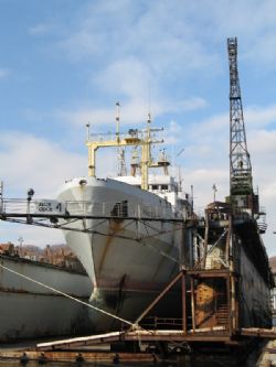 Клик увеличить фото n1243920121112295539n.jpg