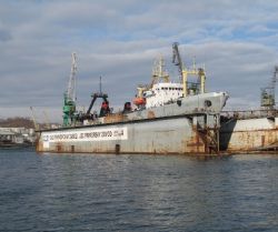 Клик увеличить фото n1243920121112295546n.jpg