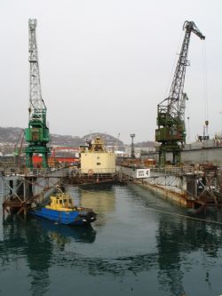 Клик увеличить фото n1263920121122592716n.jpg