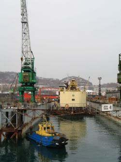 Клик увеличить фото n1263920121122592721n.jpg