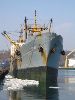 Клик увеличить фото n13139201337510431n.jpg