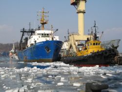 Клик увеличить фото n13139201337510447n.jpg