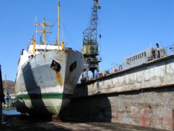 Клик увеличить фото n134392013320493612n.jpg