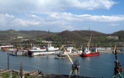 Клик увеличить фото n1383920135224121436n.jpg