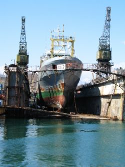 Клик увеличить фото n1383920135224121454n.jpg