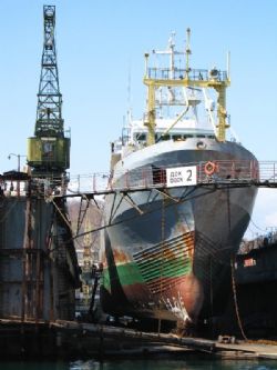 Клик увеличить фото n140392013819293150n.jpg