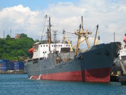 Клик увеличить фото n1523920146206112337n.jpg