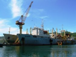 Клик увеличить фото n1523920146206112426n.jpg