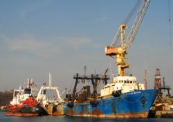 Клик увеличить фото n157392014103167559n.jpg