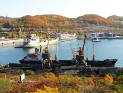 Клик увеличить фото n1613920153206105829n.jpg