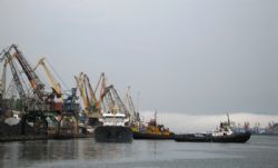 Клик увеличить фото n1683920151210591632n.jpg