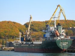 Клик увеличить фото n1683920151210591652n.jpg