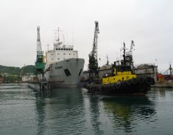 Клик увеличить фото n1713920166738649n.jpg