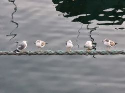 Клик увеличить фото n22239202111174102813n.jpg