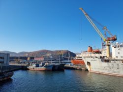 Клик увеличить фото n22239202111174102826n.jpg