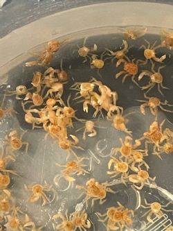 Клик увеличить фото n2433920247938127n.jpg