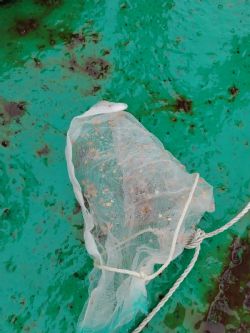 Клик увеличить фото n2433920247938131n.jpg