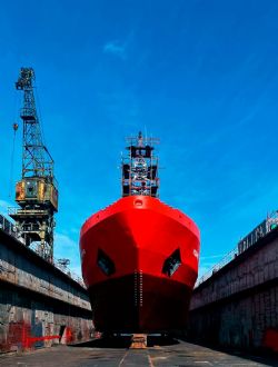 Клик увеличить фото n25739202410164967n.jpg