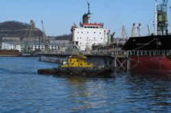 Клик увеличить фото n43920126145153511n.jpg