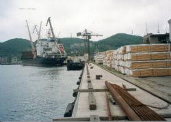 Клик увеличить фото n73920126145135221n.jpg