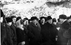 Клик увеличить фото g113920125304135452n.jpg