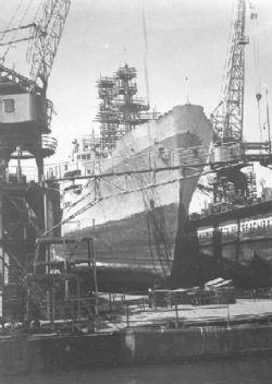 Клик увеличить фото n123920119273122321n.jpg