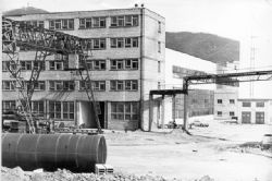 Клик увеличить фото n12392011927312816n.jpg