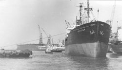 Клик увеличить фото n1239201192731286n.jpg