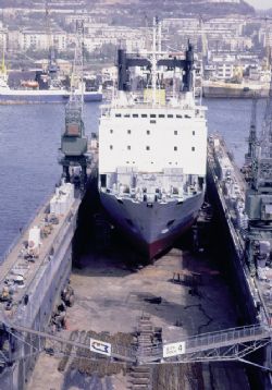 Клик увеличить фото n14392011927312191n.jpg