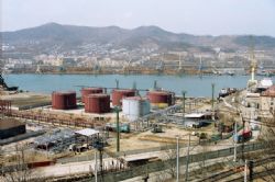 Клик увеличить фото n143920119273121949n.jpg