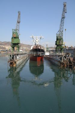 Клик увеличить фото n1339201267514741n.jpg