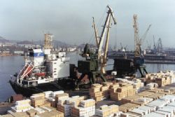 Клик увеличить фото n2039201267515342n.jpg