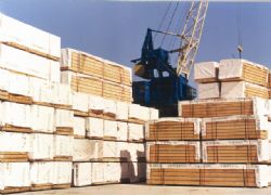 Клик увеличить фото n20392012675153435n.jpg