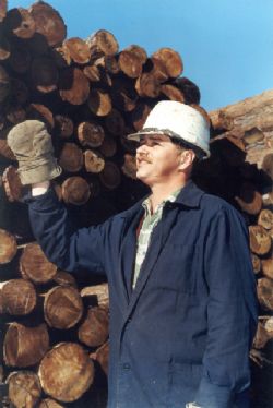 Клик увеличить фото n20392012675153443n.jpg