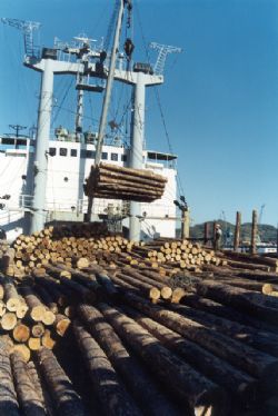 Клик увеличить фото n20392012675153454n.jpg