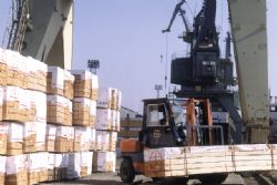 Клик увеличить фото n2039201267515348n.jpg