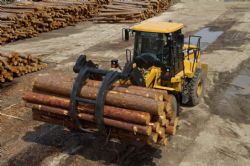 Клик увеличить фото n20392012675153520n.jpg