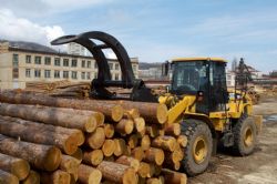 Клик увеличить фото n20392012675153532n.jpg